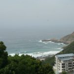 Woodpecker Seaview 1